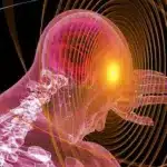 Your Immune System Can Be Trained to Fight Glioblastoma
