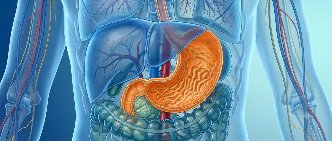 gastric cancer treatment with dendritic cell vaccine